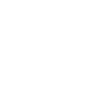 SOCIAL-ico Social